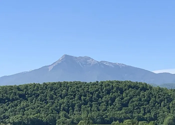 La Maison D'amalaurille Maison d'hôtes 3*